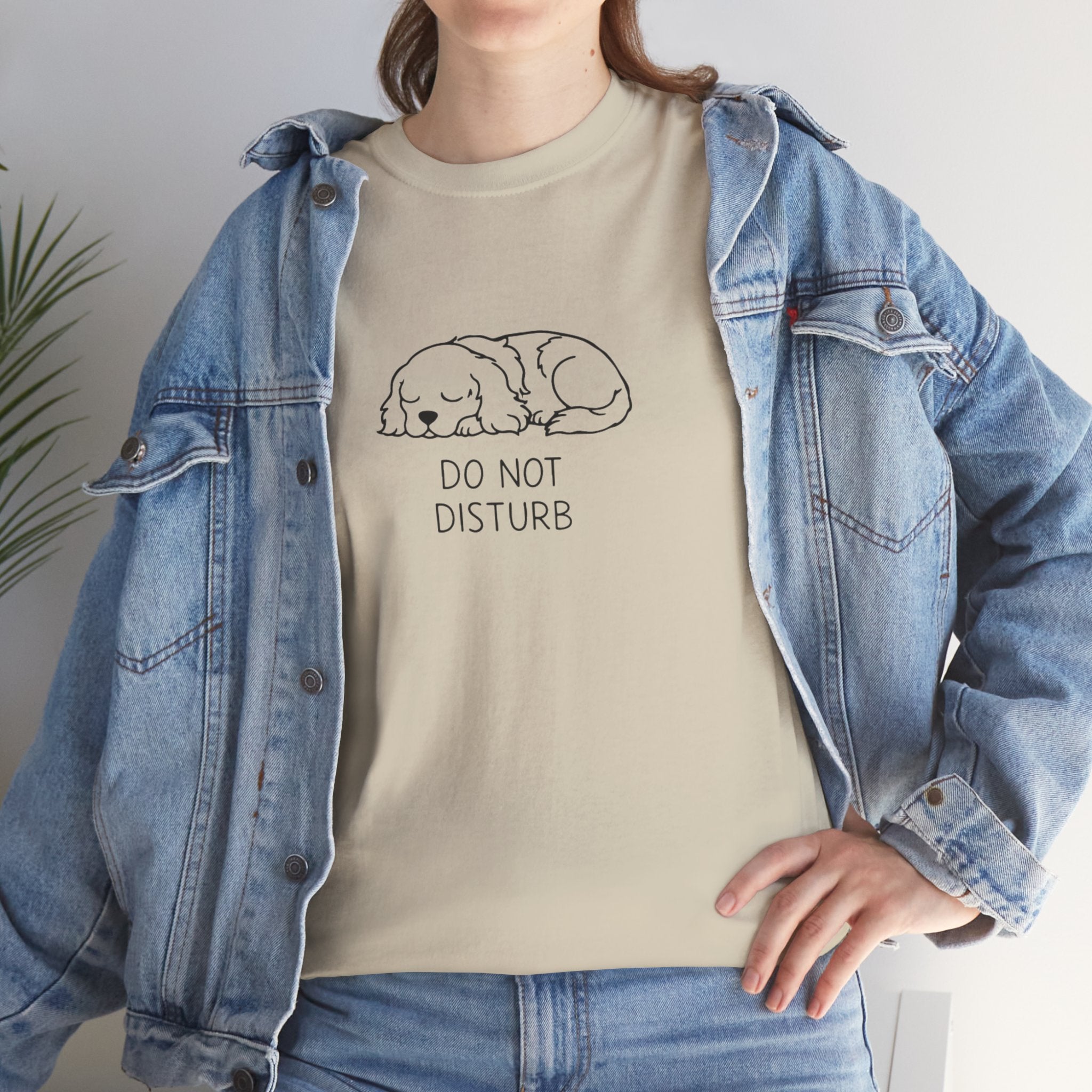 Do Not Disturb Sleeping Dog T-Shirt